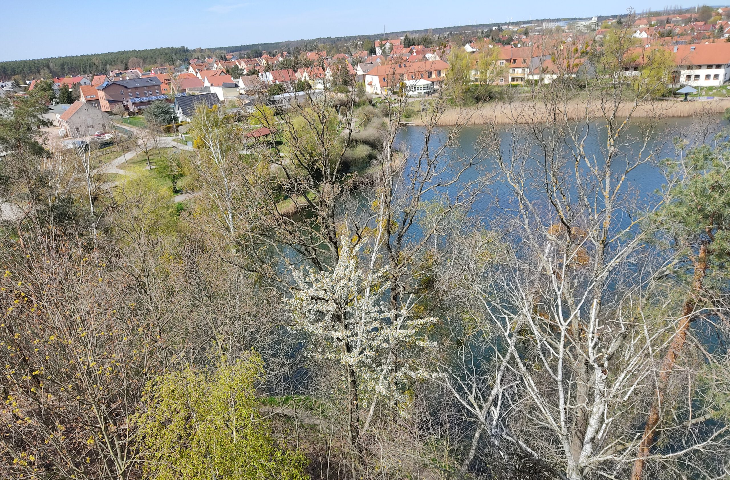 Gesteinsgarten Gommern