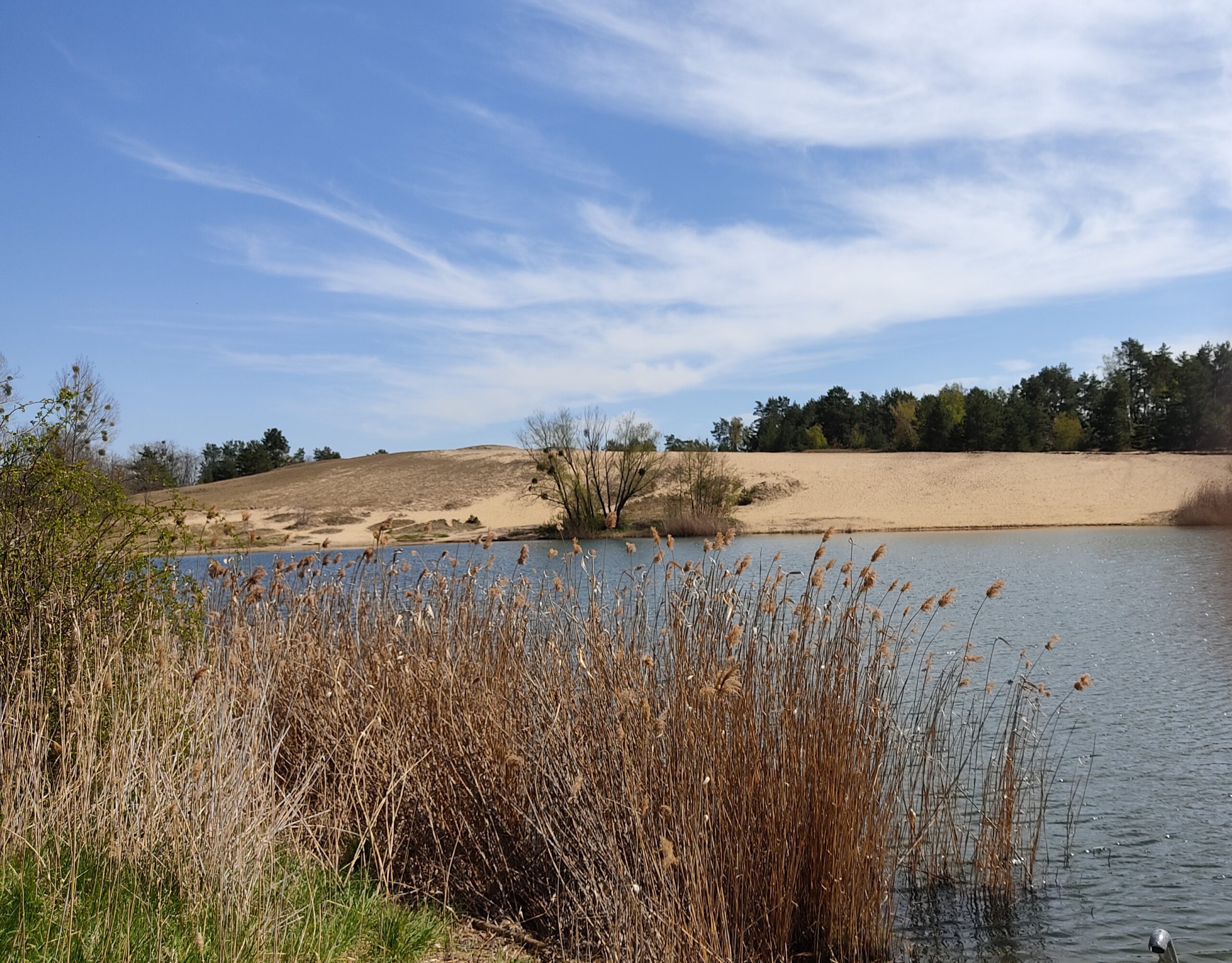 Wanderdüne Gommern