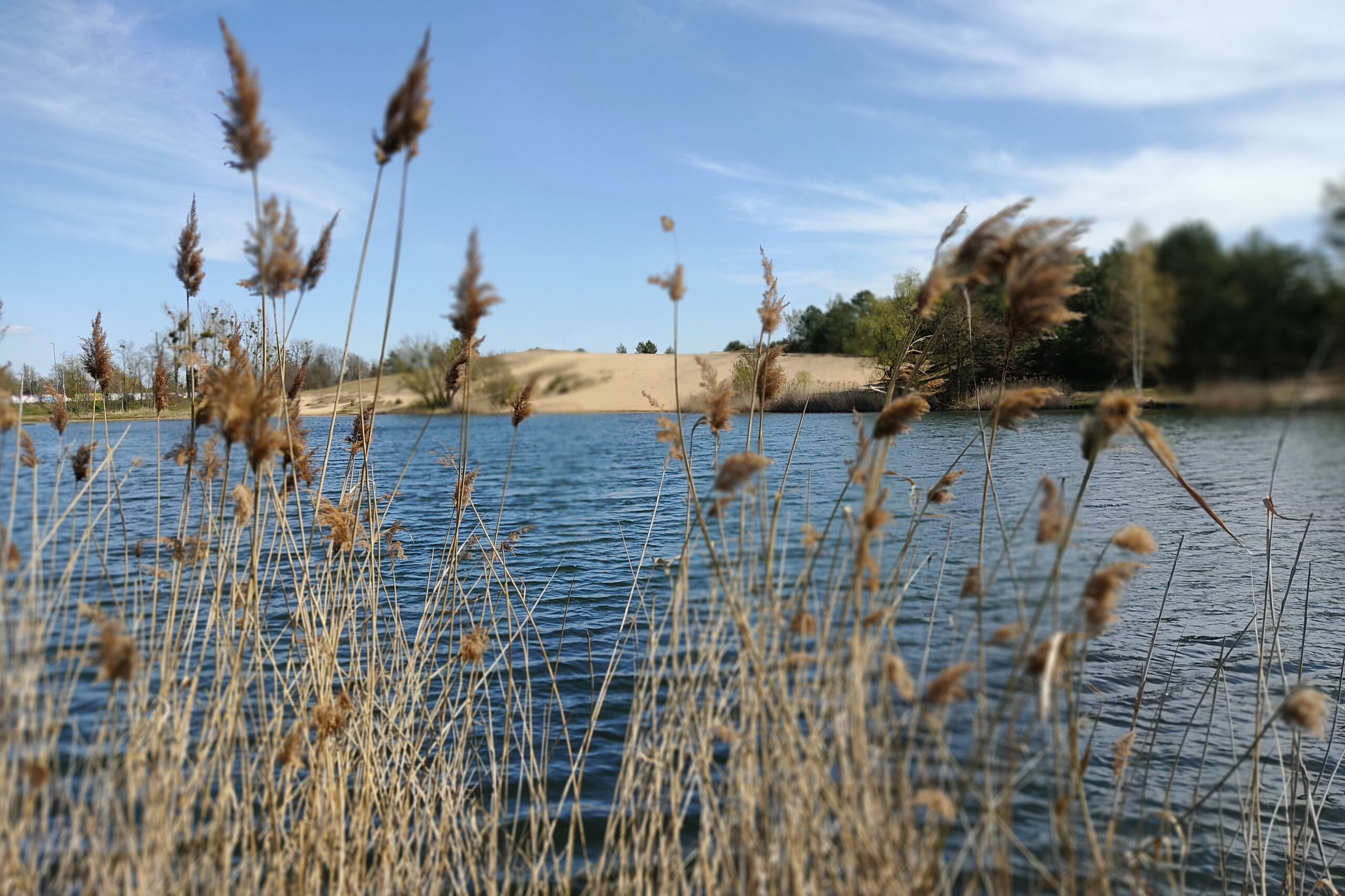 Wanderdüne Gommern