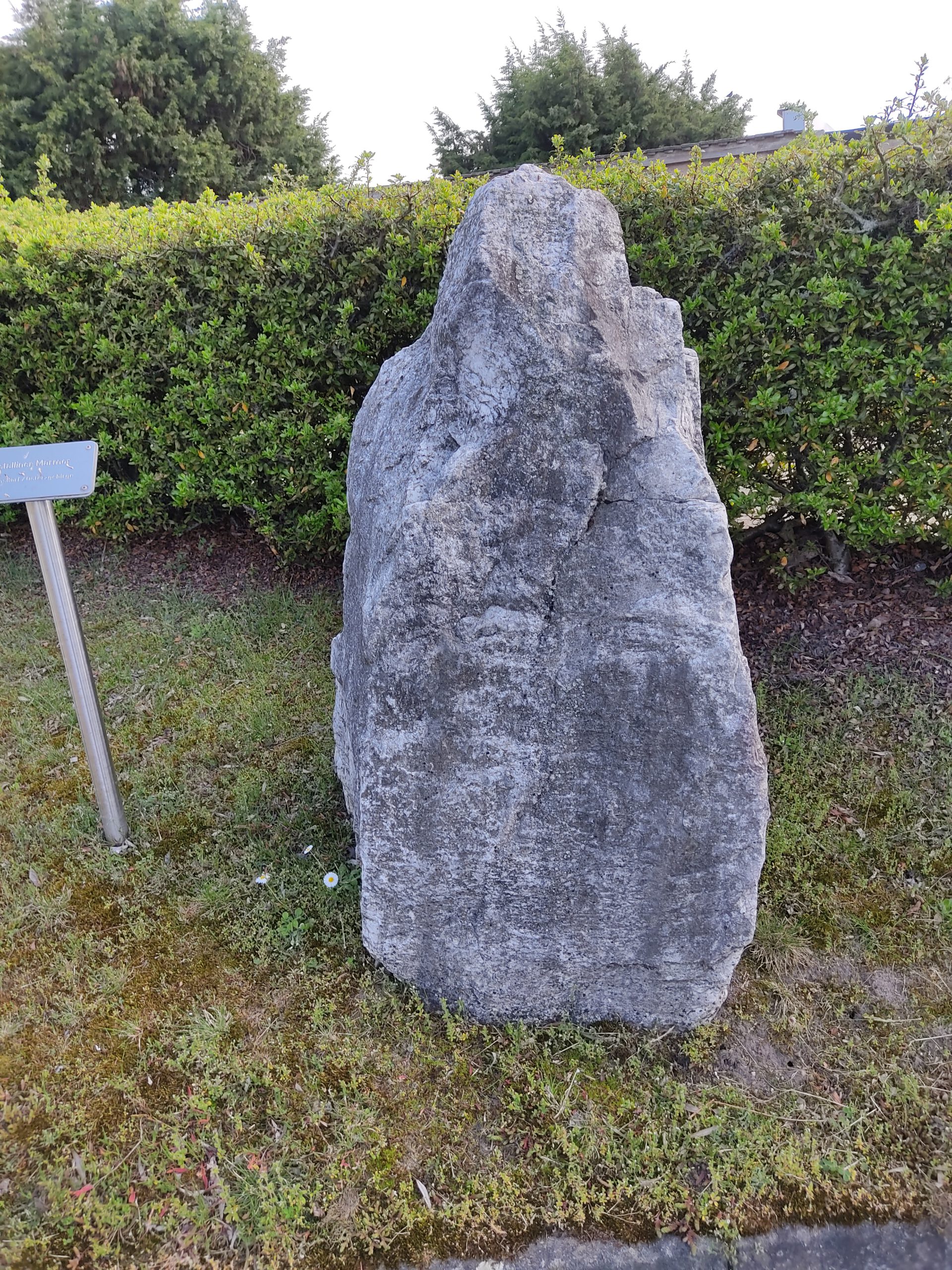 Gesteinsgarten